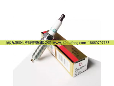 LDK8RHII 6173,火花塞 Spark Plug,山東九華峰供應(yīng)鏈管理有限公司