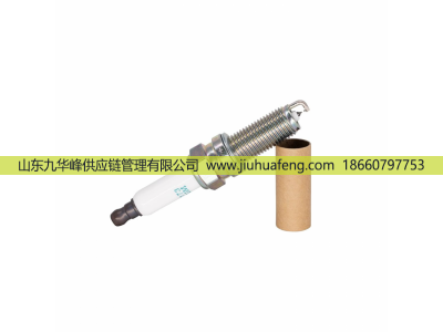 LDK8RHII 6173,火花塞 Spark Plug,山東九華峰供應(yīng)鏈管理有限公司