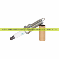 LDK8RHII 6173,火花塞 Spark Plug,山東九華峰供應(yīng)鏈管理有限公司
