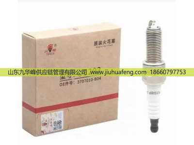 OE203 3707010-B04,火花塞 Spark Plug,山東九華峰供應(yīng)鏈管理有限公司