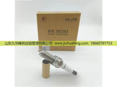 OE203 3707010-B04,火花塞 Spark Plug,山東九華峰供應(yīng)鏈管理有限公司