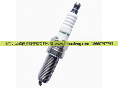 OE203 3707010-B04,火花塞 Spark Plug,山東九華峰供應(yīng)鏈管理有限公司