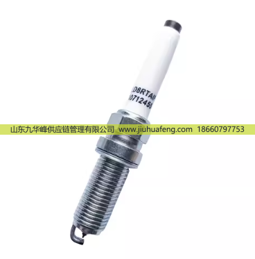 OE211 10712455 LD8RTAIP,火花塞 Spark Plug,山東九華峰供應(yīng)鏈管理有限公司