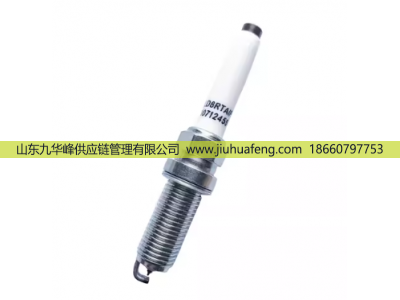 OE211 10712455 LD8RTAIP,火花塞 Spark Plug,山東九華峰供應(yīng)鏈管理有限公司