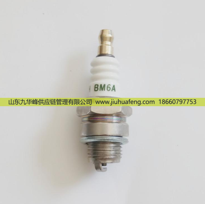 T4196J A7RTC BM6A D8RTC B7RTC,火花塞 Spark Plug,山東九華峰供應(yīng)鏈管理有限公司