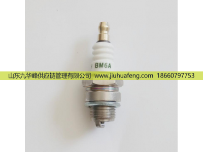 T4196J A7RTC BM6A D8RTC B7RTC,火花塞 Spark Plug,山東九華峰供應(yīng)鏈管理有限公司