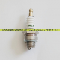 T4196J A7RTC BM6A D8RTC B7RTC,火花塞 Spark Plug,山東九華峰供應(yīng)鏈管理有限公司