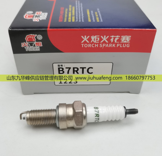 T4196J A7RTC BM6A D8RTC B7RTC,火花塞 Spark Plug,山東九華峰供應(yīng)鏈管理有限公司