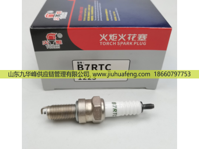 T4196J A7RTC BM6A D8RTC B7RTC,火花塞 Spark Plug,山東九華峰供應(yīng)鏈管理有限公司
