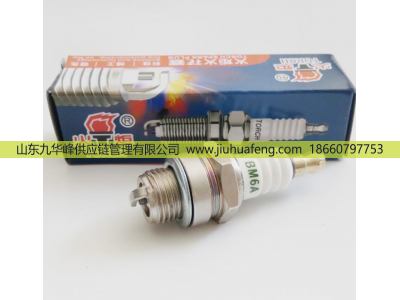 T4196J A7RTC BM6A D8RTC B7RTC,火花塞 Spark Plug,山東九華峰供應(yīng)鏈管理有限公司