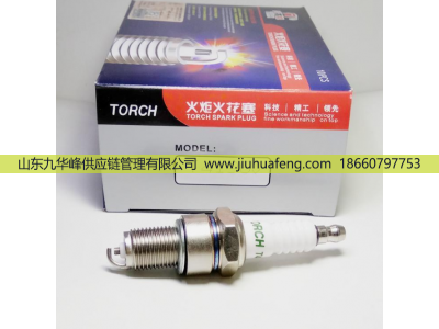 T4196J A7RTC BM6A D8RTC B7RTC,火花塞 Spark Plug,山東九華峰供應(yīng)鏈管理有限公司