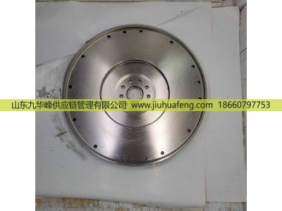 612600020220 1002358413 410800020060,飛輪 Flywheel,山東九華峰供應(yīng)鏈管理有限公司
