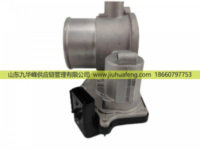 5590996L,节气门 Throttle Body,山东九华峰供应链管理有限公司