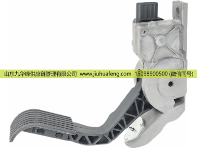 1376024,Accelerator pedal 油門踏板,山東九華峰供應(yīng)鏈管理有限公司