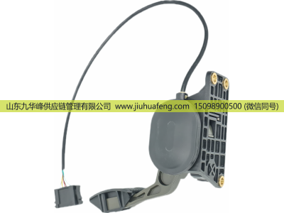 0002900201,Accelerator pedal 油门踏板,山东九华峰供应链管理有限公司