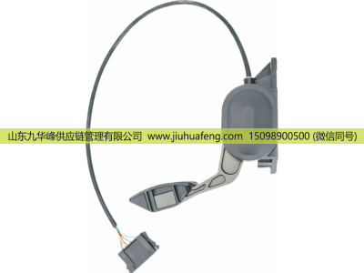 0002900201,Accelerator pedal 油门踏板,山东九华峰供应链管理有限公司