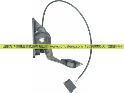 0002900201,Accelerator pedal 油门踏板,山东九华峰供应链管理有限公司