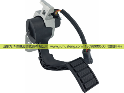 21116874 21915485 3175135,Accelerator pedal 油门踏板,山东九华峰供应链管理有限公司