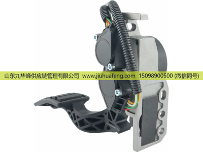 23897053 84557605 20715971 20893513 21116878 82628009 3175129,Accelerator pedal 油门踏板,山东九华峰供应链管理有限公司