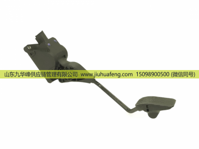 0280755035 9655467180 1601.T8 19209W 1920AK 9643365680 1607272480 455821001002,Accelerator pedal 油门踏板,山东九华峰供应链管理有限公司