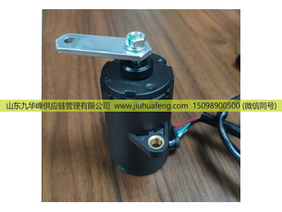 500388702 0205001204,Accelerator pedal 油门踏板,山东九华峰供应链管理有限公司