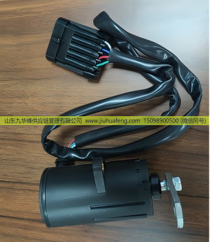 500388702 0205001204,Accelerator pedal 油门踏板,山东九华峰供应链管理有限公司