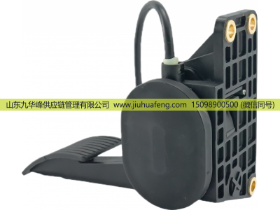 9703000304,Accelerator pedal 油门踏板,山东九华峰供应链管理有限公司