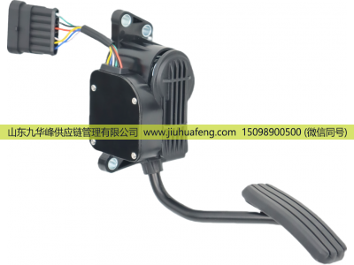 C41R13.3761231-02,Accelerator pedal 油门踏板,山东九华峰供应链管理有限公司