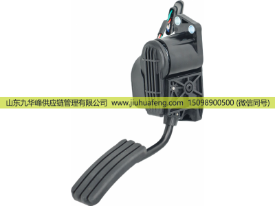 C41R13.3761231-02,Accelerator pedal 油门踏板,山东九华峰供应链管理有限公司