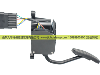 C41R13.3761231-02,Accelerator pedal 油门踏板,山东九华峰供应链管理有限公司