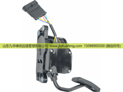 C41R13.3761231-02,Accelerator pedal 油门踏板,山东九华峰供应链管理有限公司