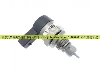 0281002949 0281002494 0281002826 0281002827,共軌燃油壓力調節(jié)閥DRV閥 Common Rail Fuel Pressure Regulator Valve (DRV Valve),山東九華峰供應鏈管理有限公司