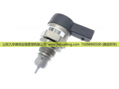 0281002949 0281002494 0281002826 0281002827,共軌燃油壓力調節(jié)閥DRV閥 Common Rail Fuel Pressure Regulator Valve (DRV Valve),山東九華峰供應鏈管理有限公司