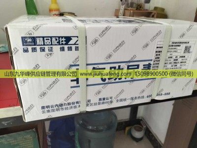 X​10010966,尿素泵 Adblue Pump,山东九华峰供应链管理有限公司