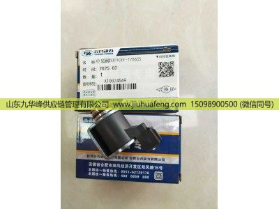 X10024569,电磁阀 Solenoid Valve,山东九华峰供应链管理有限公司