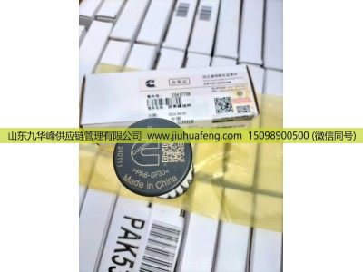 5417706,尿素泵滤芯Urea Pump Filter,山东九华峰供应链管理有限公司