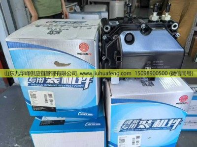 1001340660,尿素泵 Adblue Pump,山东九华峰供应链管理有限公司