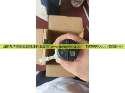 ,尿素泵电机 Urea Pump Motor,山东九华峰供应链管理有限公司