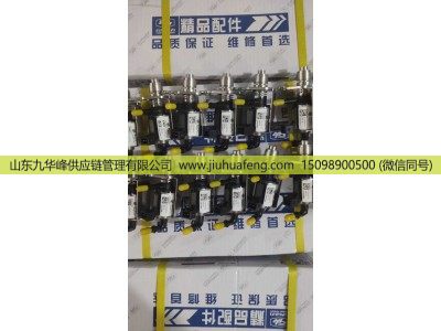 ,尿素喷嘴 Urea Nozzle,山东九华峰供应链管理有限公司