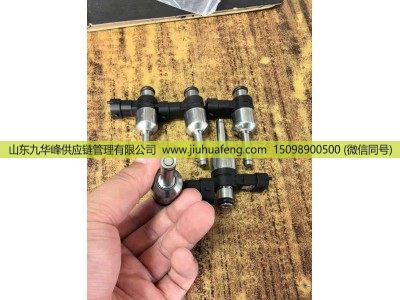 ,尿素喷嘴 Urea Nozzle,山东九华峰供应链管理有限公司