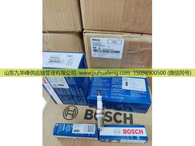 4384910,火花塞 Spark Plug,山东九华峰供应链管理有限公司