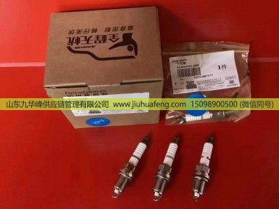 4384910,火花塞 Spark Plug,山东九华峰供应链管理有限公司