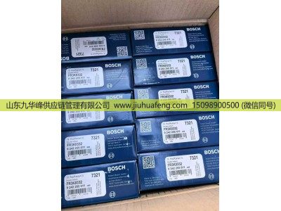 ,火花塞 Spark Plug,山东九华峰供应链管理有限公司