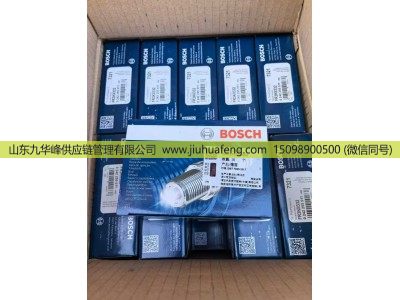 ,火花塞 Spark Plug,山东九华峰供应链管理有限公司