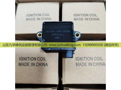 650711 191988,点火线圈 Ignition Coil,山东九华峰供应链管理有限公司
