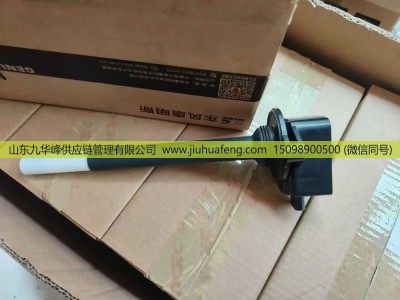6494203,点火线圈  Ignition Coil,山东九华峰供应链管理有限公司