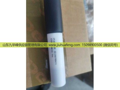6494203,点火线圈  Ignition Coil,山东九华峰供应链管理有限公司
