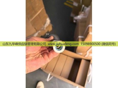 6494203,点火线圈  Ignition Coil,山东九华峰供应链管理有限公司