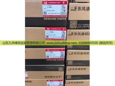6494203,点火线圈  Ignition Coil,山东九华峰供应链管理有限公司