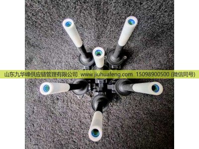 6524746,点火线圈总成  ignition coil,山东九华峰供应链管理有限公司